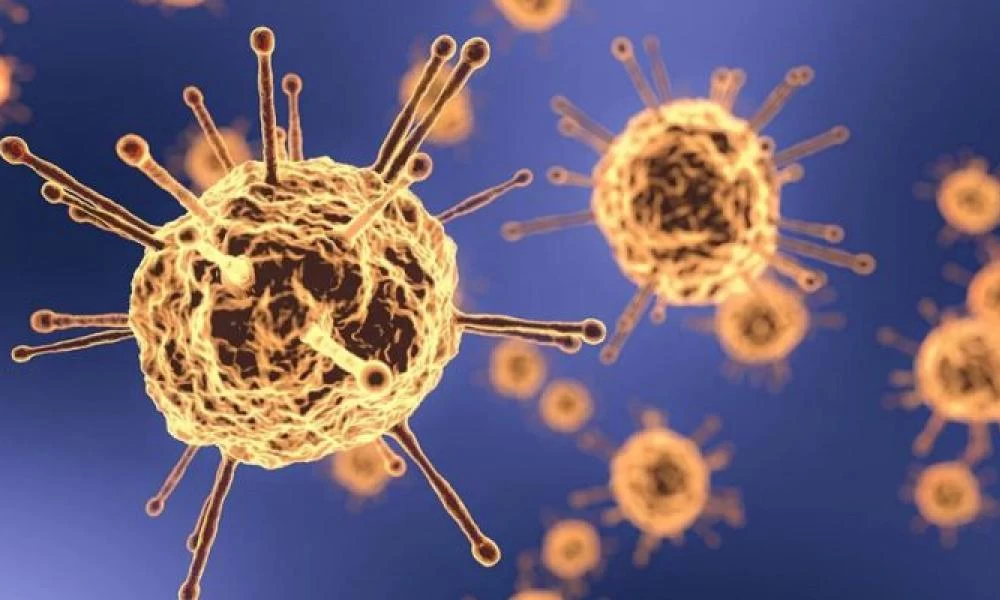 Σημαντικό εύρημα των επιστημόνων κατά του κορονοϊού -Τι βρήκαν;